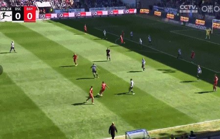 1650203712640029019.gif 1.gif